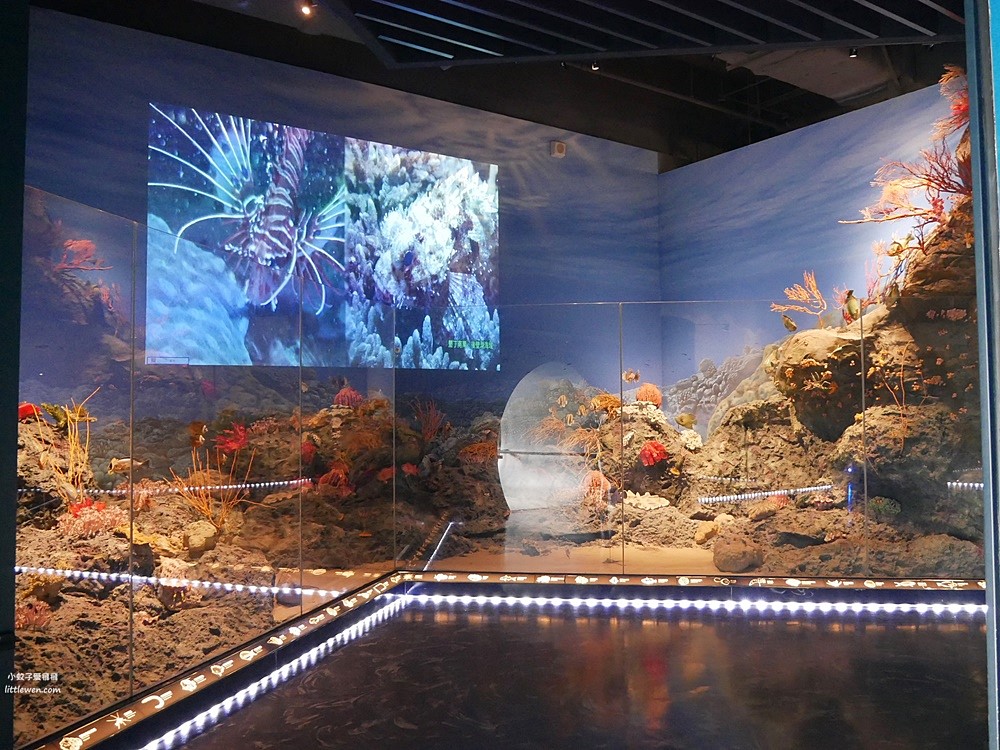 基隆親子景點「國立海洋科技博物館」互動式一票玩透透學習寓樂 @小蚊子愛飛飛