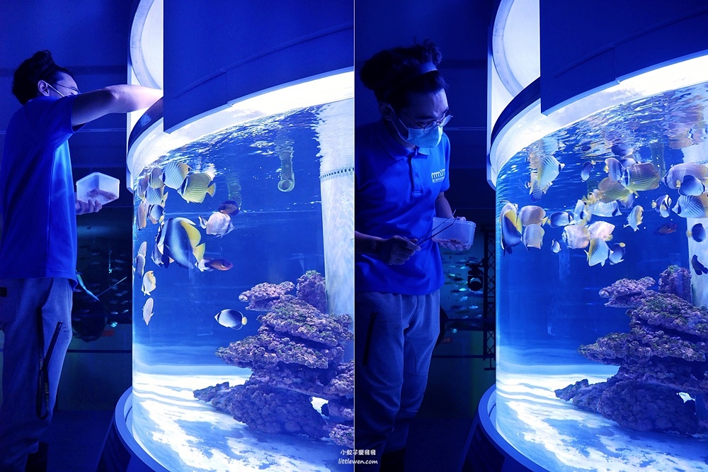 基隆親子景點「潮境智能海洋館i OCEAN」微笑魟魚空靈水母&#038;視野超好景觀咖啡廳，必拍潮境公園飛天掃帚 @小蚊子愛飛飛
