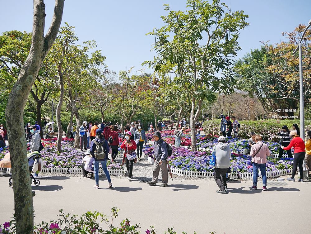 大安森林公園繡球花杜鵑花季2023最新花況，春之饗宴美拍不停