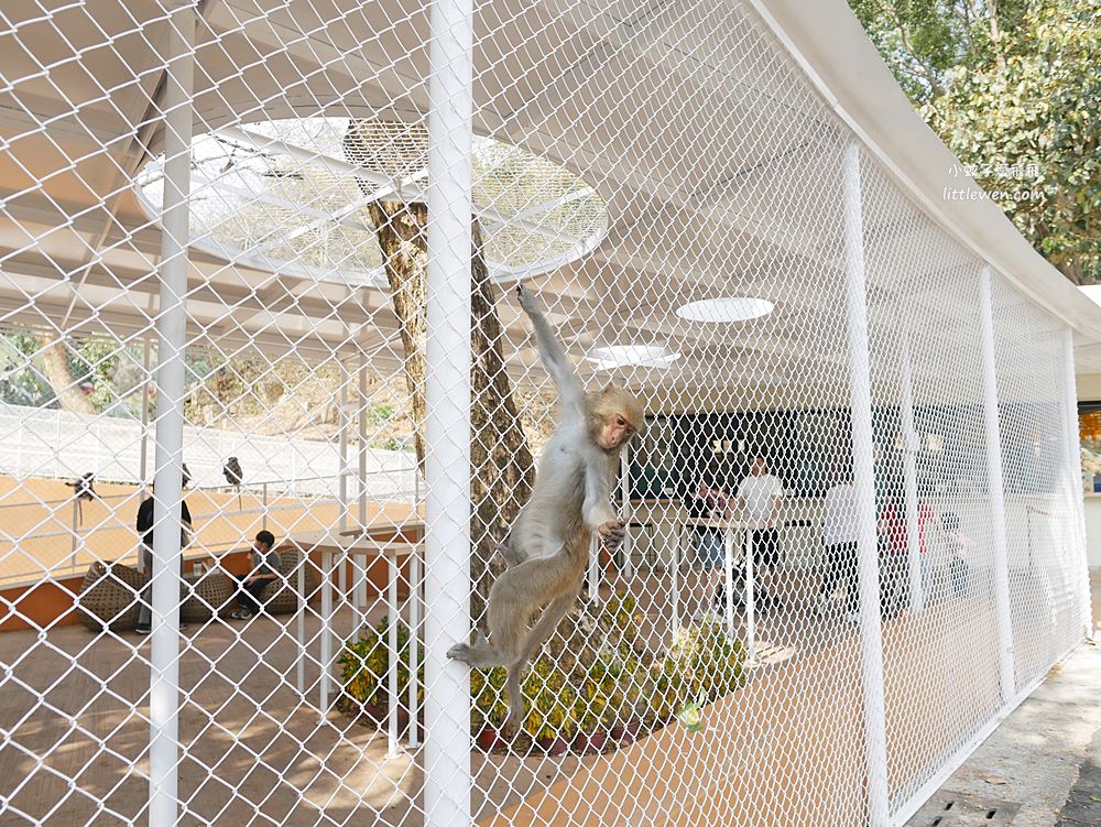 重新開幕高雄壽山動物園天空步道新亮點，交通票價園區介紹 @小蚊子愛飛飛
