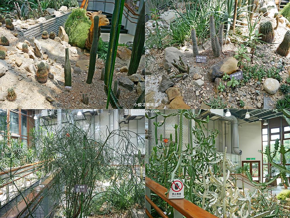 免費參觀「台北典藏植物園」種類最多展覽型植物溫室，多肉植物區好網美