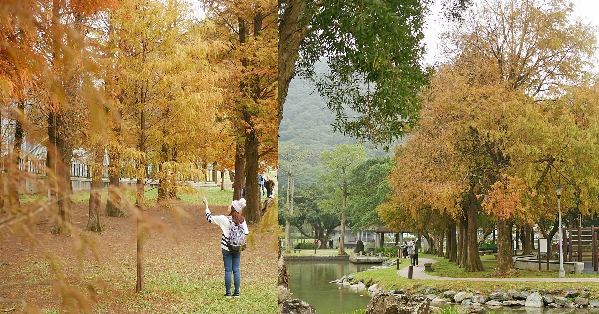 即時熱門文章：台北落羽松景點～大湖公園落羽松變色了！坐捷運就可到