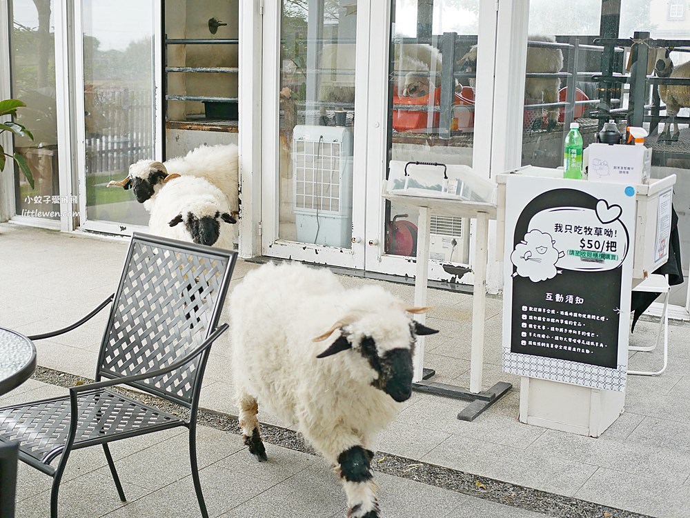 宜蘭「黑RURU CAFE」可以餵食笑笑羊熊貓羊田野景觀咖啡廳