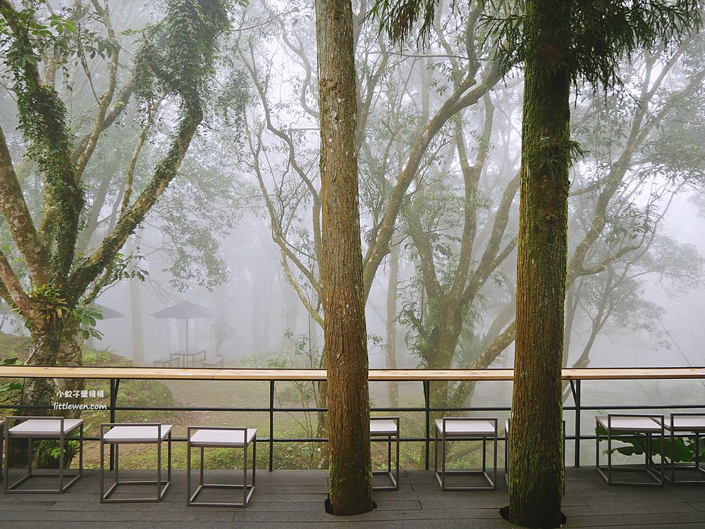 三峽禾煦熊空 | 熊空茶園，充滿隱世感日式木屋櫻花亭&百年茶園杉林