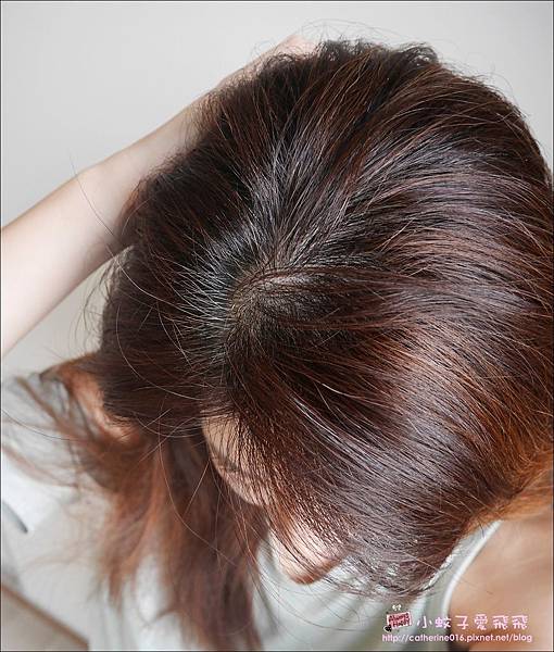 染髮不求人日本銷售第一【利尻昆布染髮護髮乳】天然植萃同時保護 @小蚊子愛飛飛