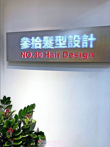 淡水髮廊推薦NO.30 Hair Design参拾髮型設計，呼應紫藤季的氣質色+挑染藍 @小蚊子愛飛飛