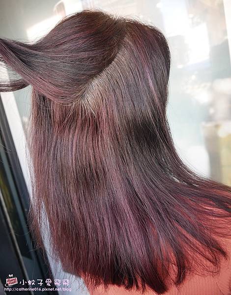 台南美髮推薦「麗莎髮學空間」在地20年提供全球性染護髮大品牌，呵護&#038;細膩服務因為你值得 @小蚊子愛飛飛