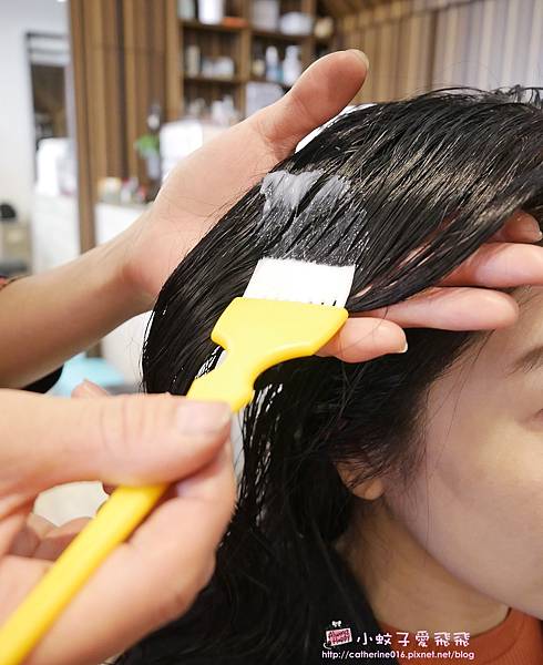 台南美髮推薦「麗莎髮學空間」在地20年提供全球性染護髮大品牌，呵護&#038;細膩服務因為你值得 @小蚊子愛飛飛