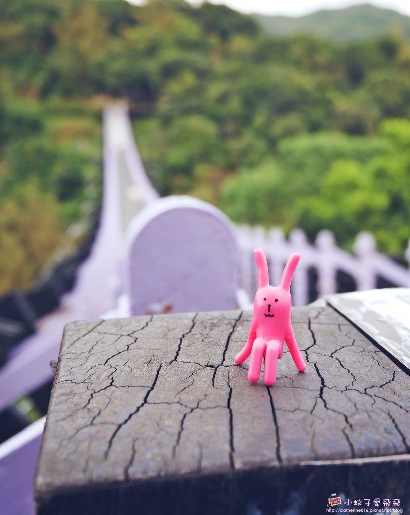 內湖碧山巖漫步在粉白櫻花隧道，夢幻紫白石湖吊橋還能體驗採草莓 @小蚊子愛飛飛