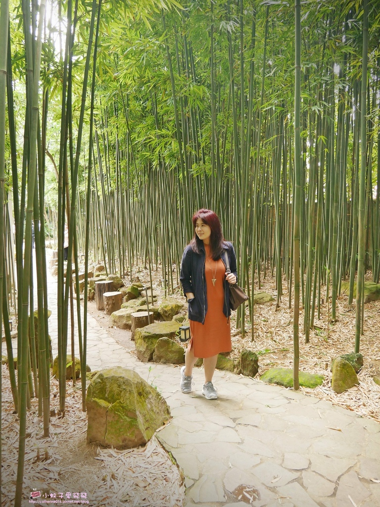 陽明山咖啡「豆留森林」昭和老屋活化，重現京都嵐山竹林小徑幽靜之美 @小蚊子愛飛飛